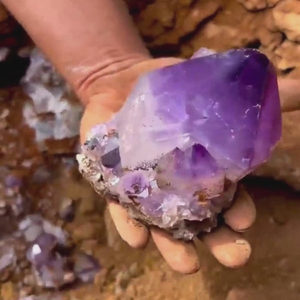 SPIRITUAL ENERGY SUPER 7 AMETHYST PENDANTS - Image 2